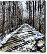 Path In Winter Acrylic Print