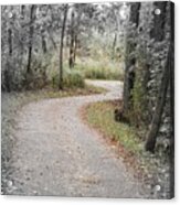 Path To Discovery Acrylic Print