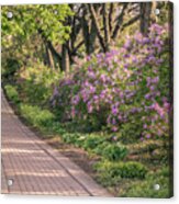 Pathway To Beauty In Lombard Acrylic Print