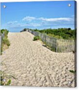 Pathway To The Beach - Delaware Acrylic Print