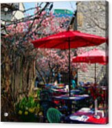 Patio Colours Acrylic Print