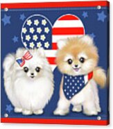 Patriotic Pomeranians Acrylic Print