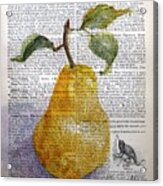 Pear On Antique Paper Acrylic Print