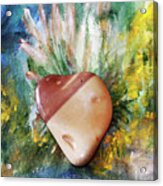 Pebble Heart Acrylic Print