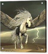 Pegasus And Dark Skies Acrylic Print