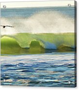 Pelican Flying Over Wind Wave Acrylic Print