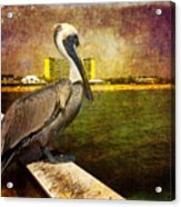 Pelican On The Pier Acrylic Print