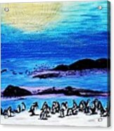 Penguins Land Acrylic Print