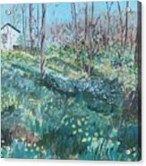 Pennsylvania - Woodbourne Spring Acrylic Print