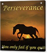 Perseverance Motivational Horse In The Sunset Acrylic Print