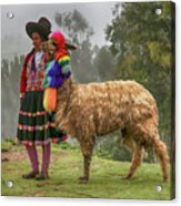 Peruvian Llama Acrylic Print