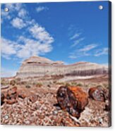 Petrified Logs At Crystal Forest Acrylic Print