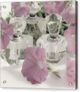 Petunias And Perfume - Soft Acrylic Print