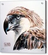 Philippine Eagle Acrylic Print