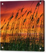 Outer Banks Obx #1 Acrylic Print