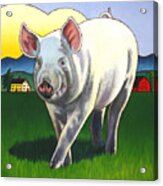 Pig Newton Acrylic Print