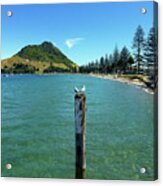 Pilot Bay Beach 1 - Mt Maunganui Tauranga New Zealand Acrylic Print