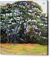 Pines Diptych Acrylic Print