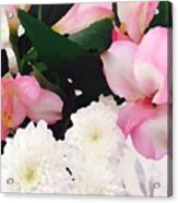 Pink And White Acrylic Print