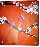 Pink Butterflies And Cherry Blossom Acrylic Print