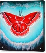 Pink Circropia Moth Acrylic Print