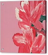 Pink Hibiscus Flowers Acrylic Print