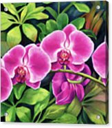 Pink Jungle Orchids Acrylic Print
