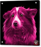 Pink Shetland Sheepdog Dog Art 9973 - Bb Acrylic Print