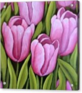 Pink Spring Tulips Acrylic Print