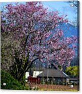 Pink Tree Red Trailer Acrylic Print