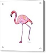 Pinky The Flamingo Acrylic Print