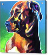 Pit Bull - Twyla Acrylic Print