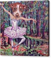 Pixie In Dance Of The Toy Rat Terrier Acrylic Print