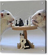Playing  Chess! Acrylic Print