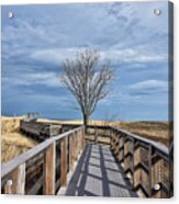 Plum Island Walkway Acrylic Print