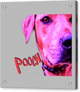 Pooch Acrylic Print