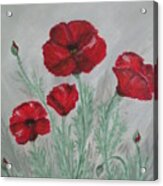Poppies In The Mist Acrylic Print