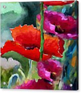 Poppies In Watercolor Acrylic Print