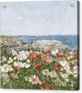 Poppies On The Isles Of Shoals Acrylic Print