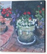 Potted Flowers Acrylic Print
