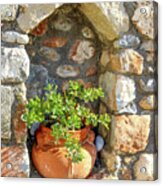 Potted Plant In Niche In Stone Wall In Greek Village Acrylic Print