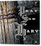 Pray Sow Harvest Acrylic Print