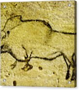 Prehistoric Bison 1- La Covaciella Acrylic Print