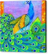 Pretty Peacock Acrylic Print
