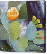 Prickly Pear In Bloom Acrylic Print