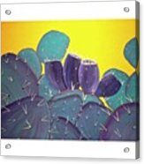 Prickly Pear With Acrylic Print