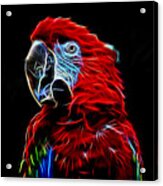 Profile Portrait Of A Parrot Iv Glow Version Acrylic Print