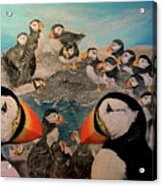 Puffin Party Acrylic Print