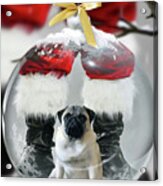 Pug And Santa Acrylic Print