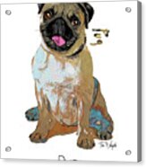 Pug Pop Art Acrylic Print